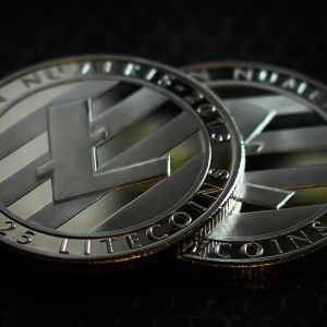 Litecoin Gains Over 307k New Non-Zero LTC Wallet Addresses in a Week