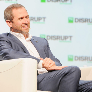 Ripple CEO Brad Garlinghouse Questions JPM Coin Usability