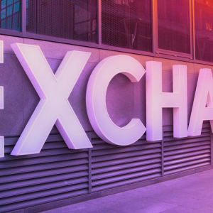 The Rise Of Tokenized Securities Exchanges