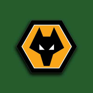 Wolves to Display Logo of Cryptocurrency Exchange Next Season