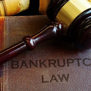 Former Crypto Firm CEO Willie Breedt Declared Bankrupt