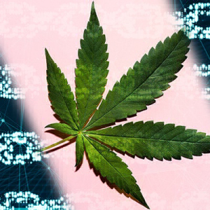 Analysis: Is Crypto Application to the Cannabis Industry Just a Pipe Dream?