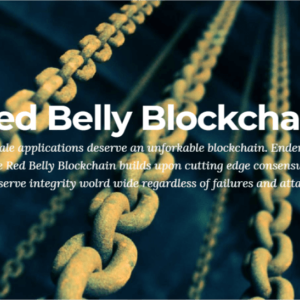 Newly Launched Red Belly Blockchain Hits 30,000 Transactions per Second