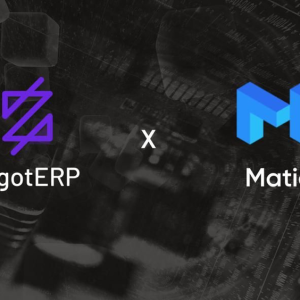 Zygot Gets into Partnership with Matic Network for Secured and More Advanced User Experience