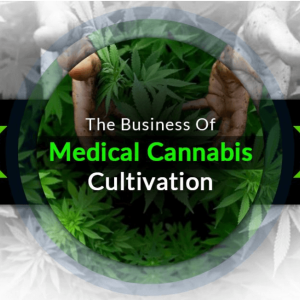 The Business Of Medical Cannabis Cultivation