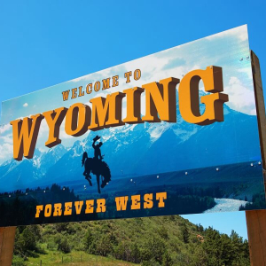 Wyoming Bitcoin Holder Is Heading to Congress