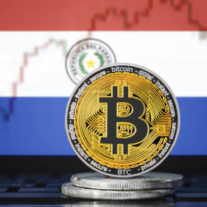 Paraguay to Capitalize on its Renewable Energy Through a Collaboration with Blockchain-based Platform