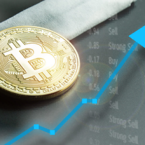 2 Experts See Bitcoin (BTC) Rising 84% this Year