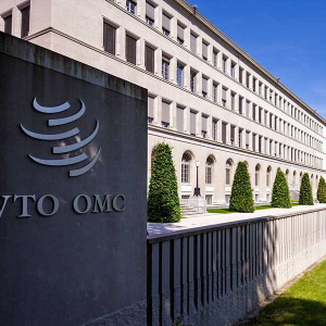 WTO Talks Up Ripple (XRP) Utility in International Trade