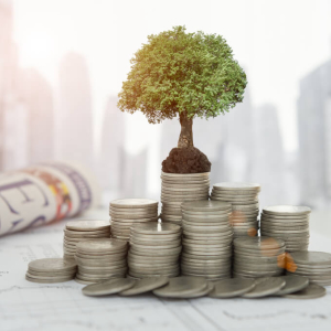Beleaguered Crypto Exchange LastRoots Gets Second Investment from SBI Holdings