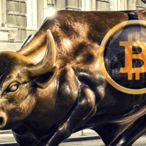 Senior Bitcoin Investor Shares: Make Greater Fortune in Bexplus in Bullish Market
