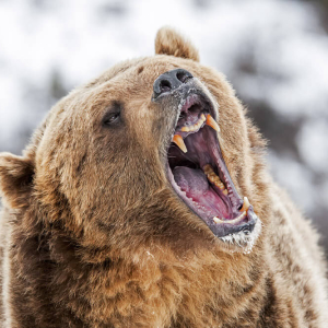 Despite the Bear Market: Reality Shares Set to Launch $100 Million Cryptocurrency Hedge Fund