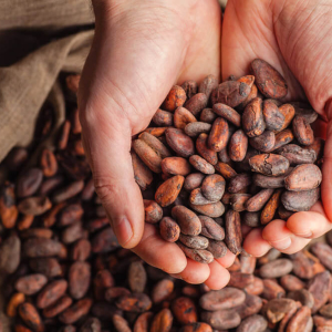 Ghanean Cocoa Farmers Benefit from Bitcoin’s Technology