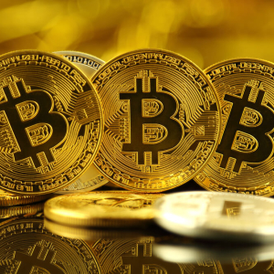 Bitcoin Hit Its Highest Peak of $28,700 on Dec. 30th