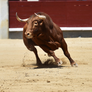If Real, Booming Crypto Volume Could Push Bitcoin Into “Raging Bull Market”