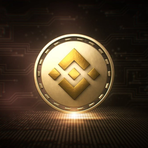 Why Has Binance Coin (BNB) Surged 150% to a Ten Month High?