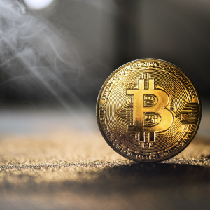 Strong Fundamentals: Bitcoin Daily Transactions Return to Bull Run Levels