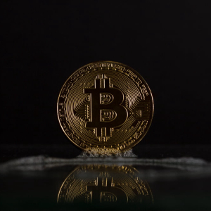 Economist Calls Bitcoin “Massive Bubble” After Price Hits Record High