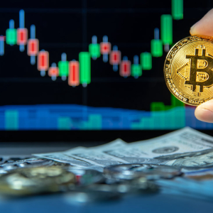 Crypto Analyst: Bitcoin May Monthly Candle Close Confirms Bull Market or Accumulation