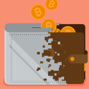 The Most Secure Cryptocurrency Wallets for Different Users