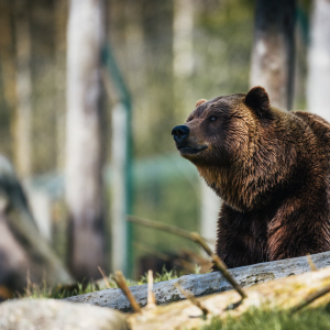 Bitcoin Rally to $5,000 Is “Nail In The Coffin” For Bears Says Prominent Investor