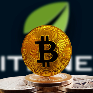 Bitcoin and Crypto Investors Are Torn Over Using Bitfinex After Accusation