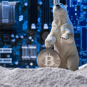Bitcoin At Risk Of 12 More Months Of Bear Hibernation, Possible Lower Low