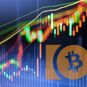 Crypto Market Wrap: Bitcoin Cash and Litecoin Keeping Markets Pumped