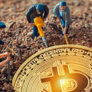 Bitcoin Halving to Have “Tiny” Supply Shock; More Important Events in 2020