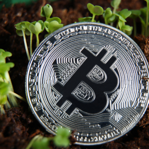 The Bitcoin Network is More Secure and Greener Than Ever