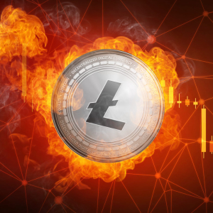 Crypto World Is Bullish on Litecoin Price, But Was Halving Rally Already Front Run?