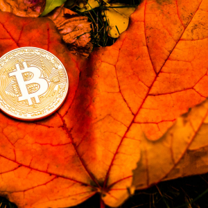 Should Bitcoin Investors Be Thankful It’s Thanksgiving?