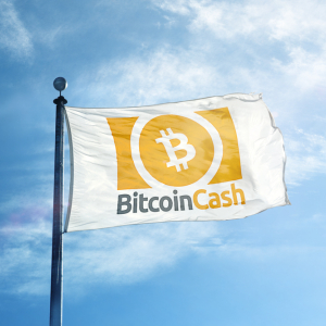 Crypto Bulls Return? Bitcoin Cash (BCH) Doubles in Price in Just 48 Hours