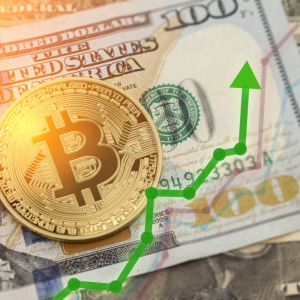 Bitcoin In Longest Uptrend of Current Bear Market, But Analysts Expect New Lows