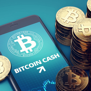 Will Bitcoin Cash (BCH) Price Surge as Hark Fork Approaches?