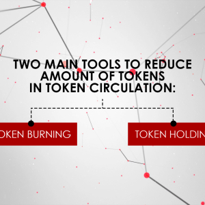 Blockchain Expert Explains Tools to Reduce Token Circulation