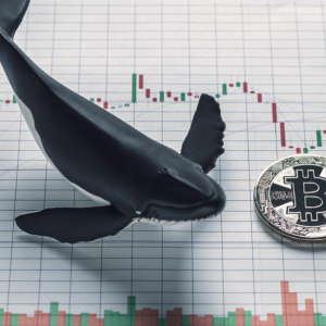 Analyst: Ongoing Bitcoin Rally Driven by a Handful of Strategic Buyers; Where Will They Send BTC Next?