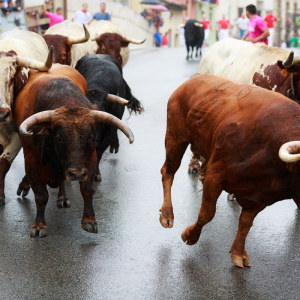 Is a Year End Bitcoin Bullrun Coming? December Arrival for Bakkt BTC Futures