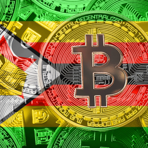 Zimbabwe’s New Finance Minister Advocates Government Cryptocurrency Unit