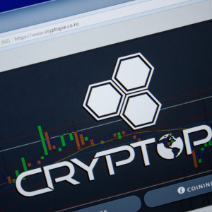 Breaking: Crypto Exchange Cryptopia Hacked, Police Starts Investigation