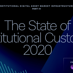 The State of Institutional Custody 2020