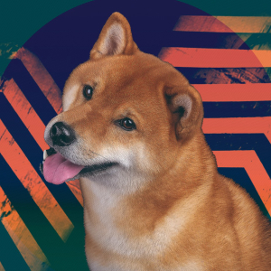 Here are the numbers behind TikTok’s crazy Dogecoin moment