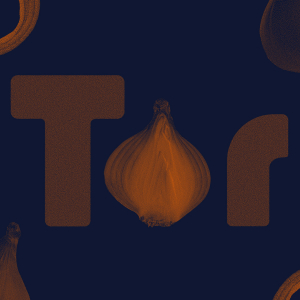 Tor: Private Internet Access