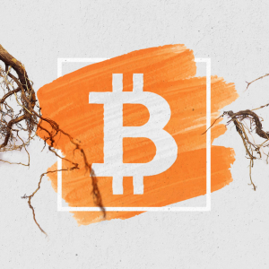 Bitcoin’s Taproot/Schnorr upgrade proposal is ‘nearly ready’ as it moves through developer feedback phase