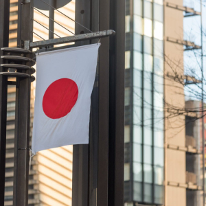 Japanese lawmakers are working on a proposal to issue digital currency