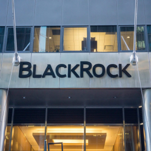 World’s largest asset manager BlackRock to exist investments that present ‘high’ sustainability risk