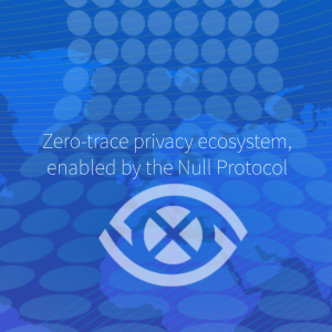 What Is NulleX?
