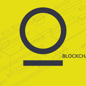 Building out the Blockchain Ecosystem for Companies: Omnitude to Launch Enterprise Middleware Solution Soon