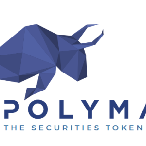 Polymath Price Rises by 5% as Team Looks to Expand