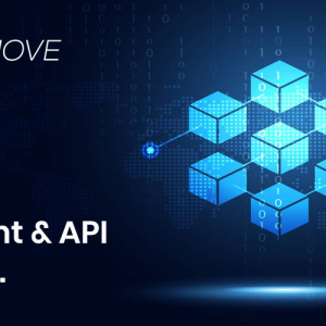 Crypto wallet, Merchant and API provider from Blockmove – a new player in the cryptocurrency market